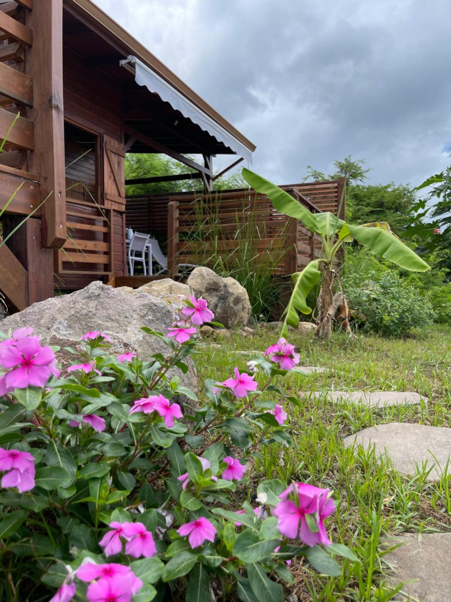 Bungalow Lanar'Am Graj - 2 Bouillante Dış mekan fotoğraf